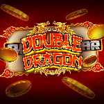 Double Dragon classic